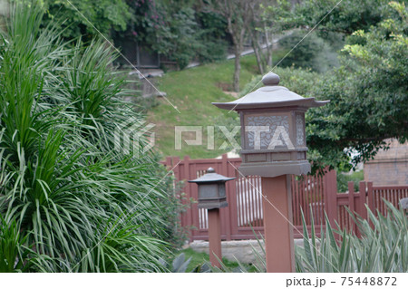 9 Dec 2006 the tree at Nan Lian Garden, Hong Kong 75448872