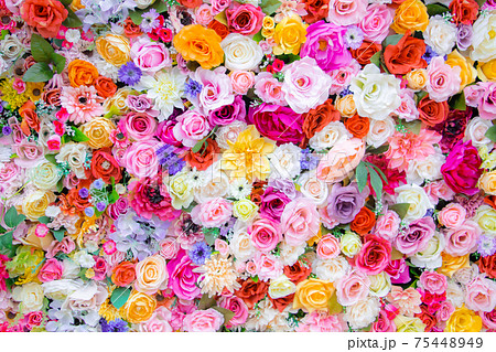 一面バラの造花の背景素材 元気が出る明るい素材の写真素材