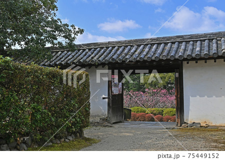 山科随心院梅林 75449152