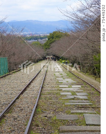 早春の蹴上インクラインの景色(京都) 早春の蹴上インクラインの景色(京都) 75449202