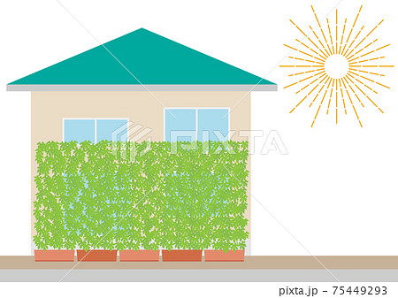 グリーン カーテン ゴーヤー 家のイラスト素材