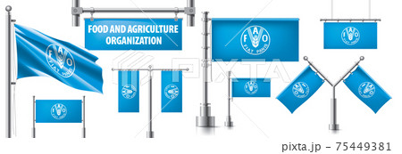 Vector set of the national flag of Food and agriculture organization in various creative designs 75449381