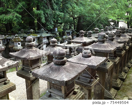 春日大社の本殿前に並ぶ石燈籠 奈良 の写真素材
