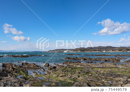 小田和湾（神奈川県横須賀市） 75449579