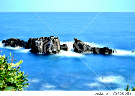 梶取崎 梶取崎 75450088