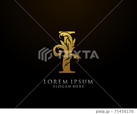 Classic M Letter Icon. Luxury Gold alphabet - Stock Illustration  [75450166] - PIXTA