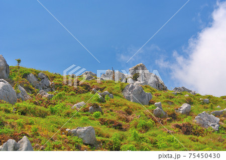 四国カルスト・まさに天空の絶景、奇岩が点在するカルストの風景・姫鶴平付近・愛媛県・高知県(5)の写真素材 [75450430] - PIXTA