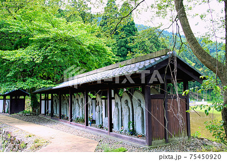 一乗谷朝倉氏遺跡ー春 75450920