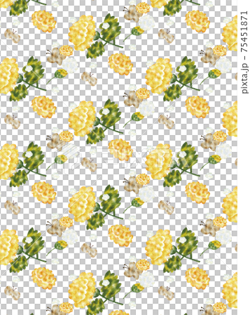 蒲公英/蝴蝶背景 蒲公英/蝴蝶背景 75451871