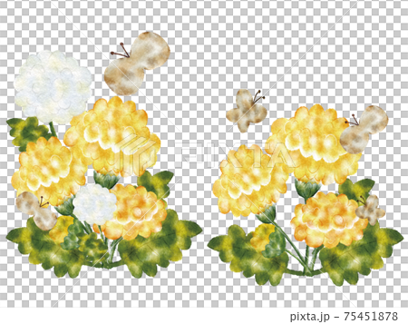 Dandelion, butterfly, fluff 75451878