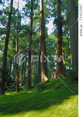 白山平泉寺ー苔寺 75452097