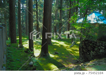 白山平泉寺ー苔寺 白山平泉寺ー苔寺 75452104