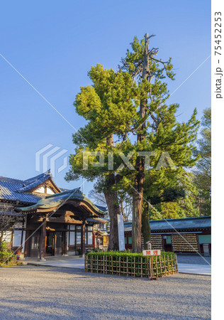 大国魂神社 鼓楼 拝殿 神社仏閣 大國魂神社 歴史建造物 大国魂神社 鼓楼 拝殿 神社仏閣 大國魂神社 歴史建造物 75452253