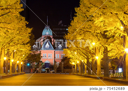 北海道_赤レンガ旧庁舎と銀杏並木の絶景 75452689