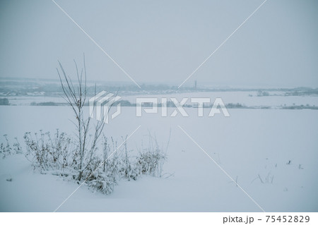 Winter frosty landscape of the river with broken ice Winter frosty landscape of the river with broken ice 75452829
