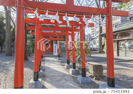 大國魂神社　大国魂神社　稲荷　 御稲荷様　お稲荷　寺社仏閣 75453993