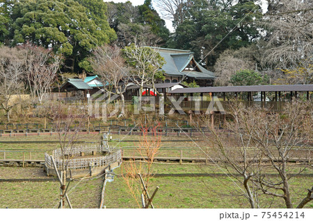 松戸市散歩:本土寺 日蓮宗 像師堂 松戸市散歩:本土寺 日蓮宗 像師堂 75454214