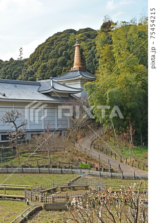 松戸市散歩:本土寺 日蓮宗 宝物殿 松戸市散歩:本土寺 日蓮宗 宝物殿 75454215