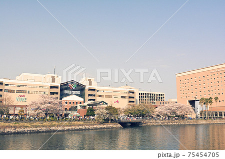 横浜・みなとみらい 横浜・みなとみらい 75454705