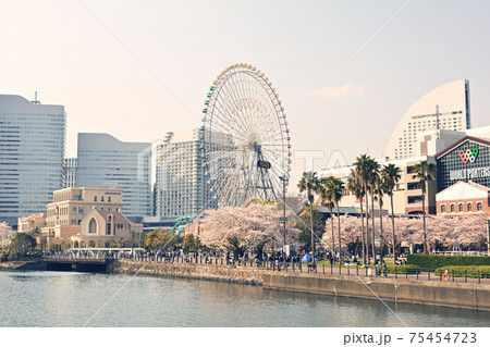 横浜・みなとみらい 横浜・みなとみらい 75454723