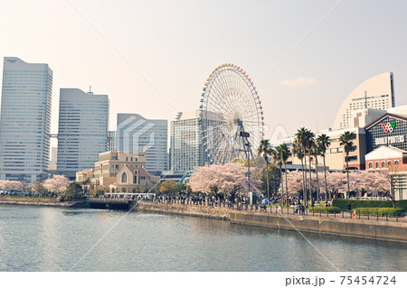 横浜・みなとみらい 75454724
