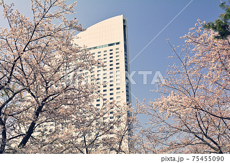 横浜・みなとみらい 75455090