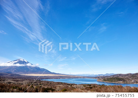 冬、12月としては冠雪が少ない富士山を山中湖パノラマ台付近から望む 冬、12月としては冠雪が少ない富士山を山中湖パノラマ台付近から望む 75455755