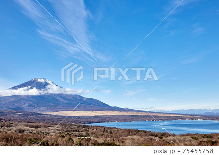 冬、12月としては冠雪が少ない富士山を山中湖パノラマ台付近から望む 冬、12月としては冠雪が少ない富士山を山中湖パノラマ台付近から望む 75455758