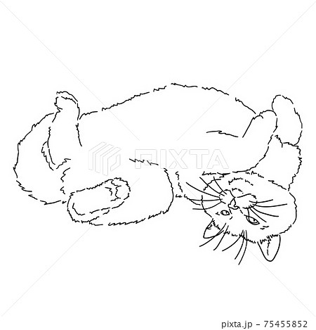 14003 Realistic Cat Drawing Images Stock Photos  Vectors  Shutterstock