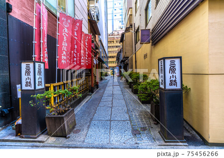 日本の東京都市景観　三原小路などを望む＝中央区銀座 75456266