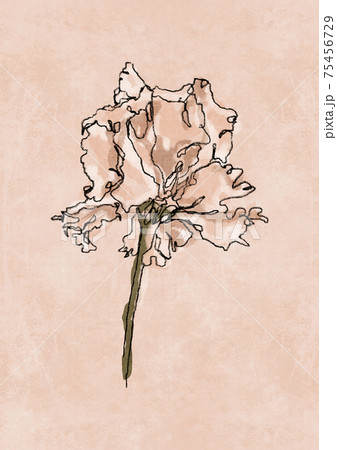 Abstract Boho Iris Flower Hand Drawn Charcoal Poster A4. Floral Art. Abstract Arrangements. Modern print set. Wall art Abstract Boho Iris Flower Hand Drawn Charcoal Poster A4. Floral Art. Abstract Arrangements. Modern print set. Wall art 75456729