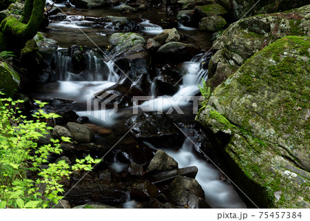 涼し気な渓谷 75457384