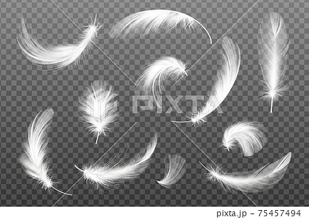 Ecological feather filler for pillows, blankets or down jacket. 75457494