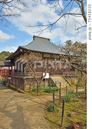 松戸市散歩：本土寺 日蓮宗　妙朗堂 75458210