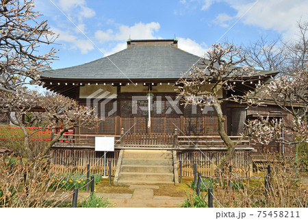 松戸市散歩：本土寺 日蓮宗　妙朗堂 75458211