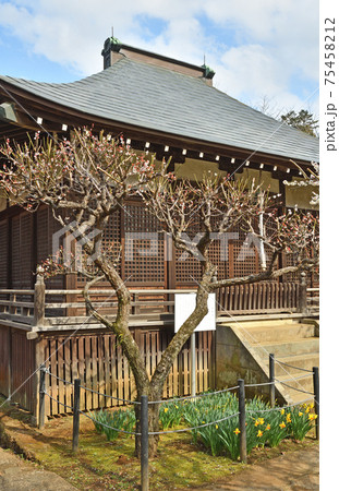 松戸市散歩:本土寺 日蓮宗 妙朗堂 松戸市散歩:本土寺 日蓮宗 妙朗堂 75458212