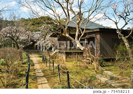 松戸市散歩:本土寺 日蓮宗 妙朗堂 松戸市散歩:本土寺 日蓮宗 妙朗堂 75458213