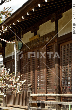 松戸市散歩：本土寺 日蓮宗　妙朗堂 75458214