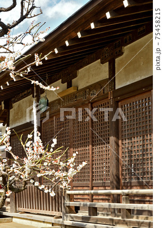 松戸市散歩：本土寺 日蓮宗　妙朗堂 75458215