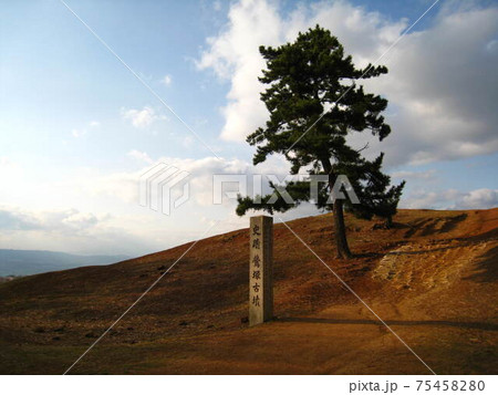 若草山山頂・鶯塚古墳 75458280