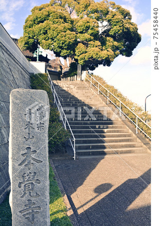 横浜・本覚寺 横浜・本覚寺 75458440