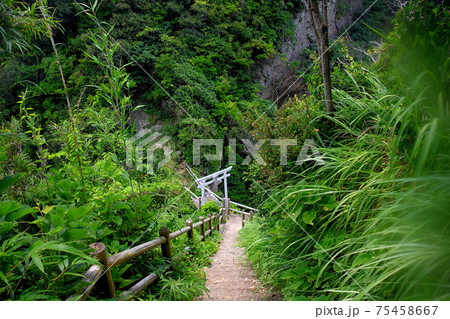 白山洞門・足摺岬・洞門に降りる整備された階段と、途中にある白山神社の鳥居・土佐清水市・高知(1) 75458667