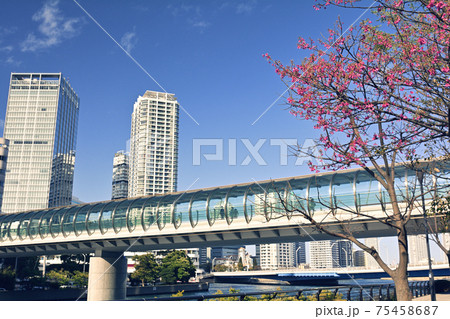 横浜駅東口 横浜駅東口 75458687