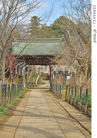 松戸市散歩:本土寺 日蓮宗 瑞鳳門 松戸市散歩:本土寺 日蓮宗 瑞鳳門 75459935