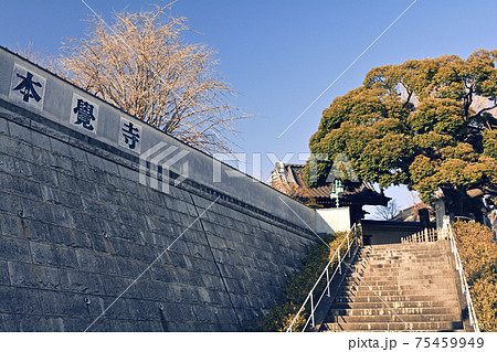 横浜・本覚寺 横浜・本覚寺 75459949