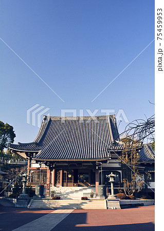 横浜・本覚寺 横浜・本覚寺 75459953