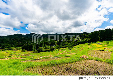 千枚田 山 鴨川大山千枚田 山林 千葉 鴨川 山林 自然 雲 畑 田んぼ 午前 昼 明るい 夏 春 千枚田 山 鴨川大山千枚田 山林 千葉 鴨川 山林 自然 雲 畑 田んぼ 午前 昼 明るい 夏 春 75459974