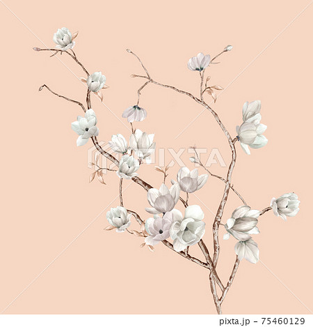 透明水彩 水彩画 花 75460129