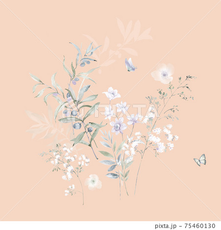 透明水彩 水彩画 花 75460130