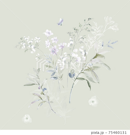 透明水彩 水彩画 花 75460131